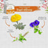 Bombay Greens  Sow Grow Eat Repeat Kit